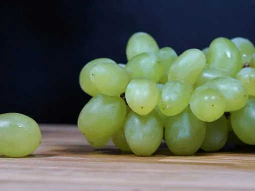 Narmada Fresh grapes and export operations