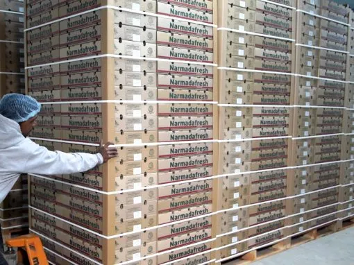 Narmada Fresh grapes and export operations